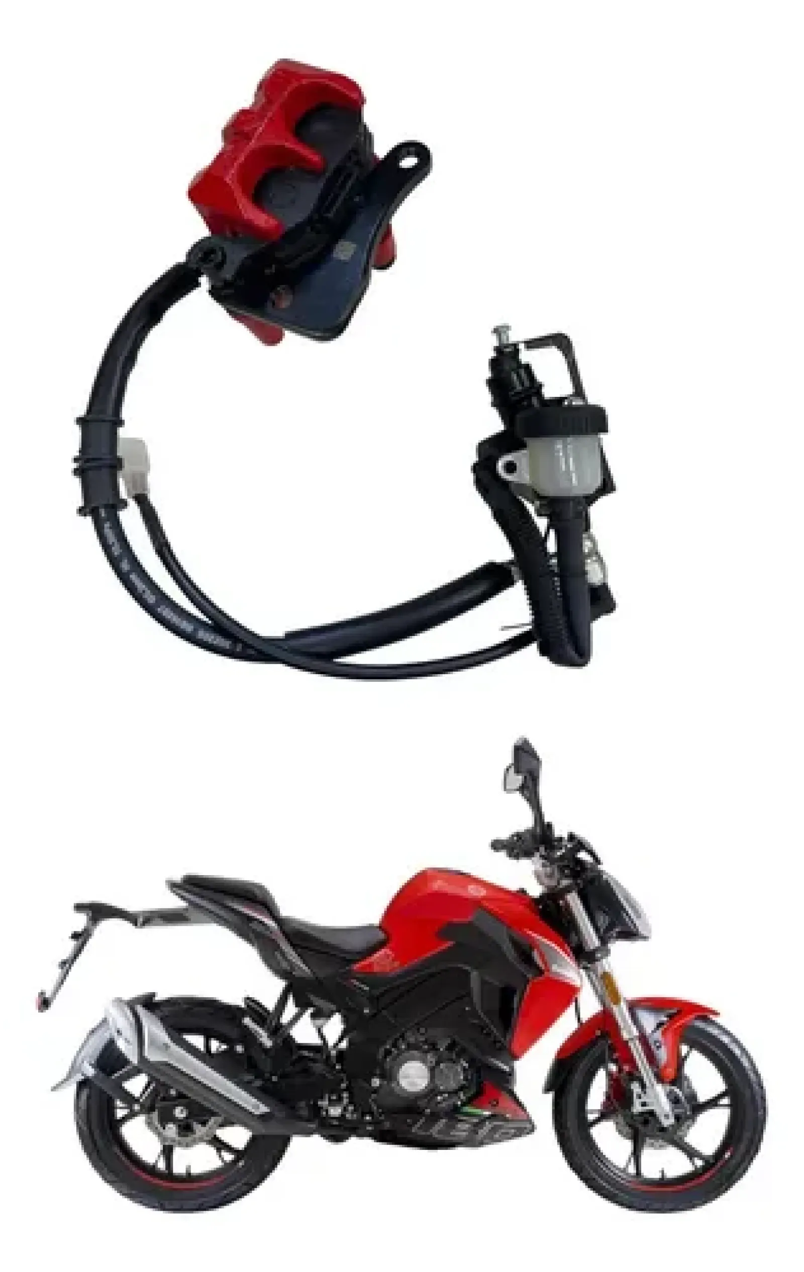 Rear Disk Brake Assy. 180s