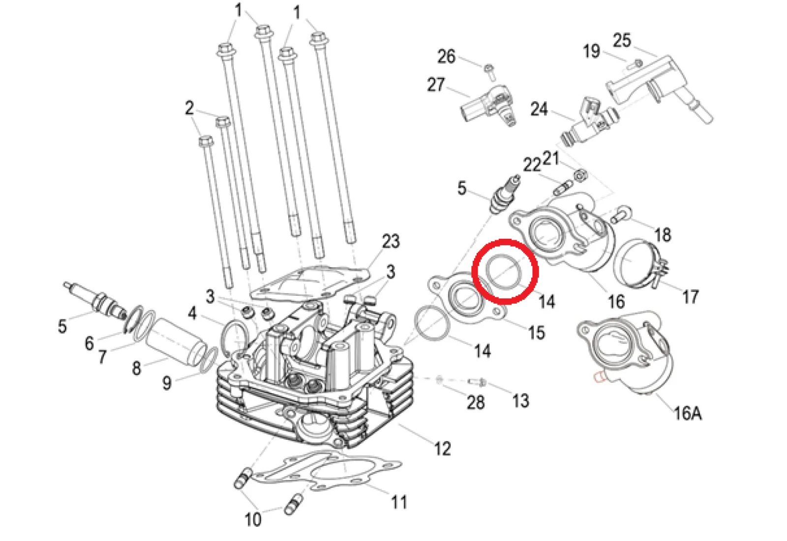 Insulation Mat O-Ring - Benelli TnT150i