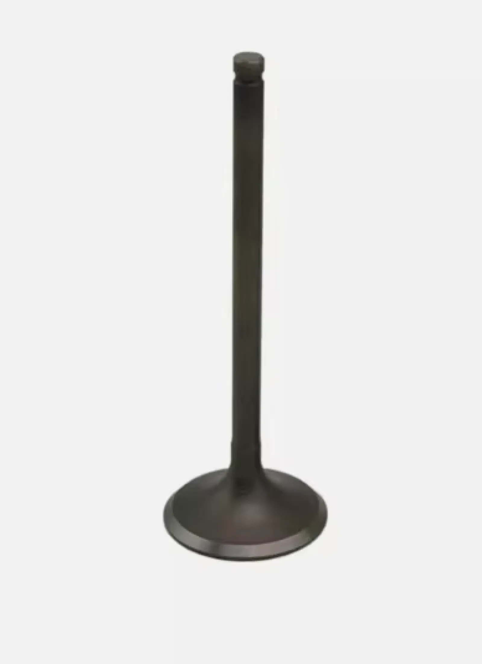 Exhaust Valve Benelli TnT150i